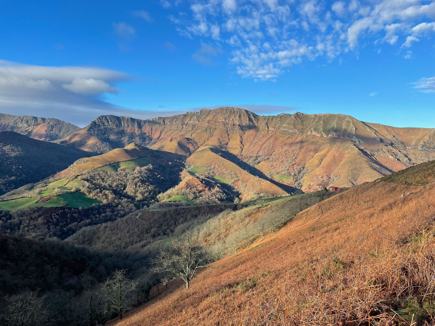 paysage-manexenea-03